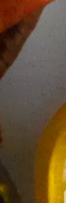 GH3 High ISO Noise Reduction image 77