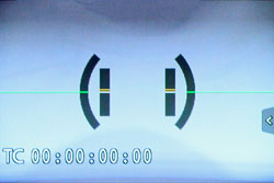 Panasonic GH3 review -- Level gauge