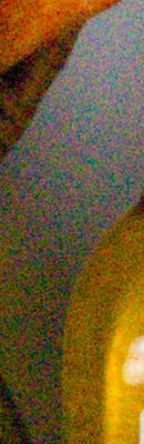 GH4 High ISO Noise Reduction image 60