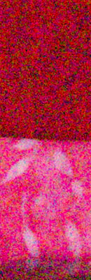 GH4 High ISO Noise Reduction image 66