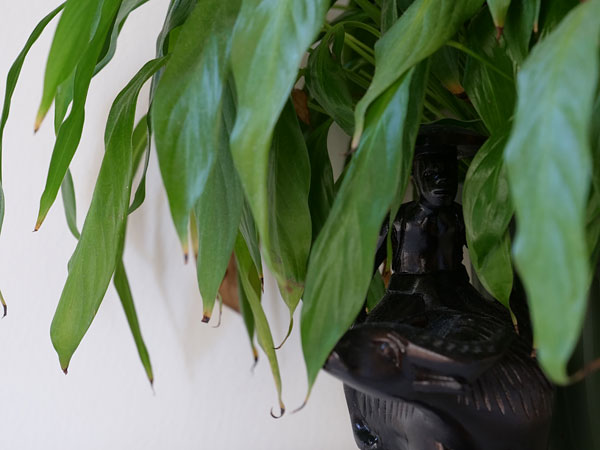 Panasonic GH5 review -- Sample photo