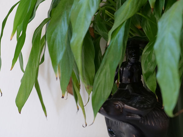 Panasonic GH5 review -- Sample photo