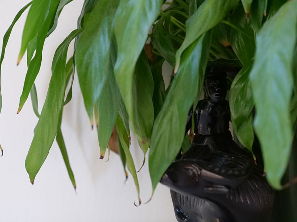 Panasonic GH5 review -- Sample photo