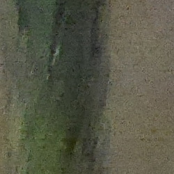 GM1 Exposure image 24
