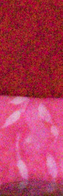 GM1 High ISO Noise Reduction image 57