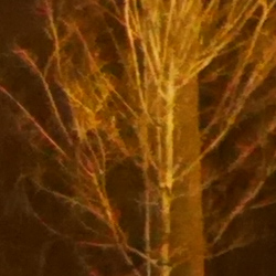 Panasonic GM1 Review - High ISO Sample