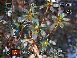 GM1 Field Test Part IV image 12