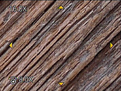 GM1 Field Test Part IV image 20
