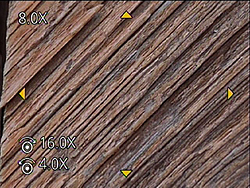 GM1 Field Test Part IV image 18
