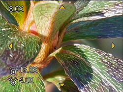 GM1 Field Test Part IV image 14