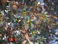 GM1 Field Test Part IV image 11