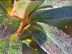 GM1 Field Test Part IV image 13