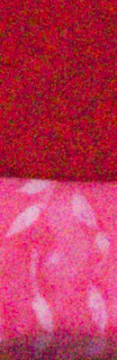 GX7 High ISO Noise Reduction image 76