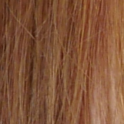GX8 Exposure image 22