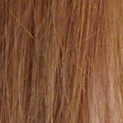 GX8 Exposure image 23