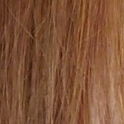 GX8 Exposure image 24