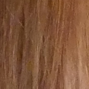 GX8 Exposure image 27