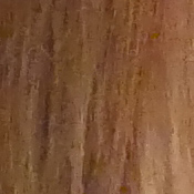 GX8 Exposure image 28