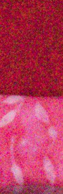 GX8 High ISO Noise Reduction image 57
