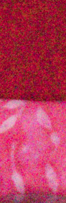GX8 High ISO Noise Reduction image 57