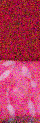 GX8 High ISO Noise Reduction image 66