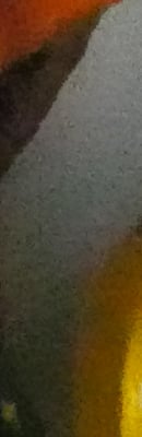 GX8 High ISO Noise Reduction image 76