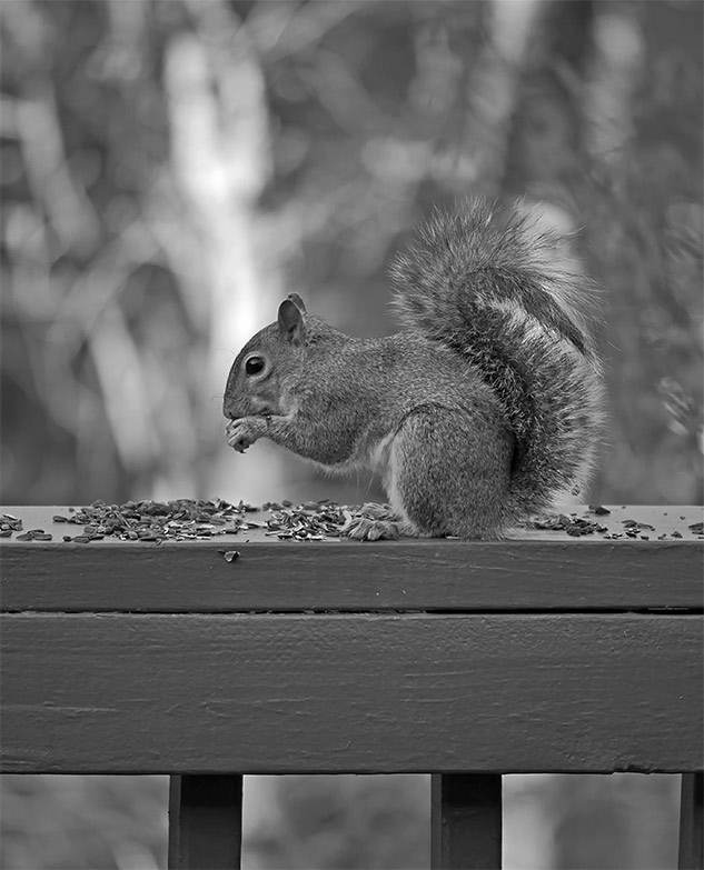 Panasonic GX85 Review - Sample Image