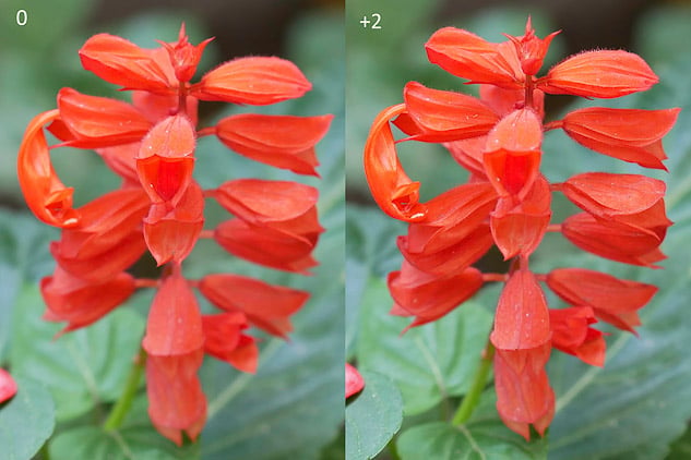 Panasonic GX85 sample image