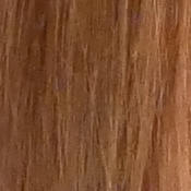 GX850 Exposure image 27