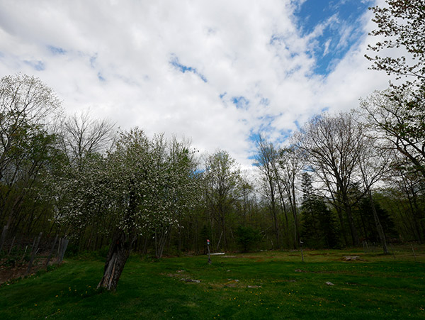 Panasonic GX850 Review: Field Test -- Gallery Image
