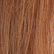 GX9 Exposure image 23