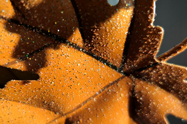 Panasonic LX10 Review: Field Test -- Gallery Image