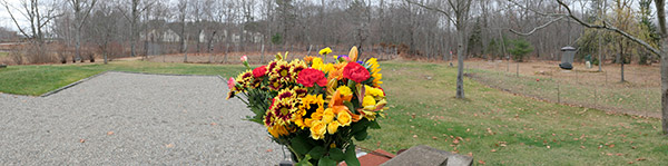 Panasonic LX10 Review: Field Test -- Gallery Image