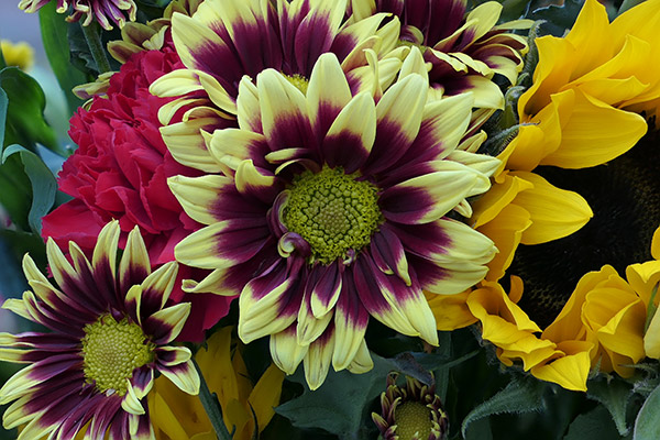 Panasonic LX10 Review: Field Test -- Gallery Image