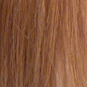 LX7 Exposure image 18