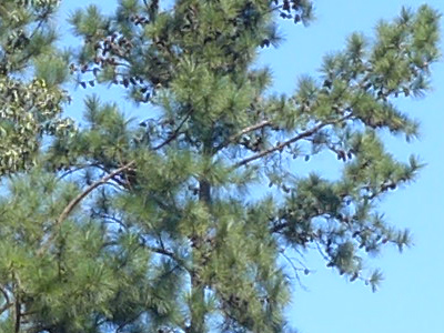 LX7 Exposure image 17