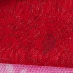 100% crop from Panasonic S1R test image taken at ISO 1600