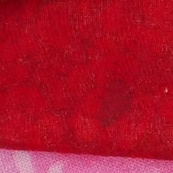 100% crop from Panasonic S1R test image taken at ISO 3200