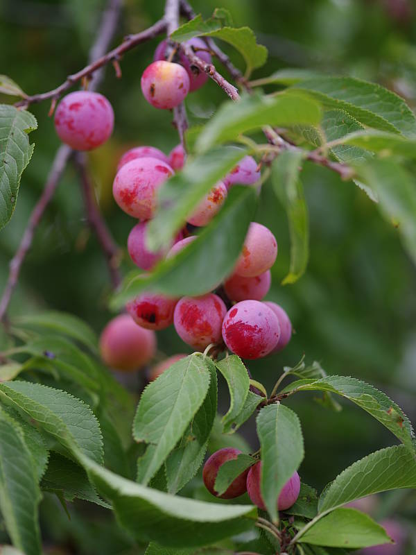 Pentax 645Z review -- Sample photo