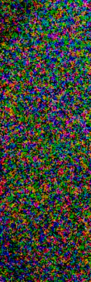 Pentax 645Z High ISO Noise Reduction image 105