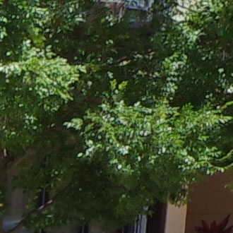 Pixel Shift Resolution, mechanical shutter with image stabilization, handheld shot