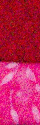 Pentax K-3 High ISO Noise Reduction image 66