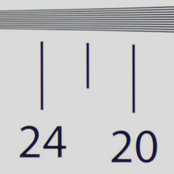 Strong detail to ~2,200 lines vertical ACRÂ processed RAW