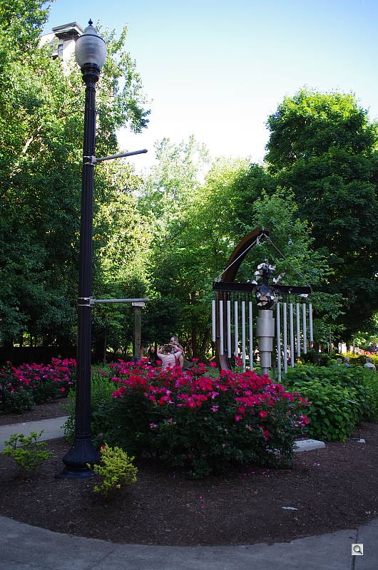Click to see YIMGP0108.JPG
