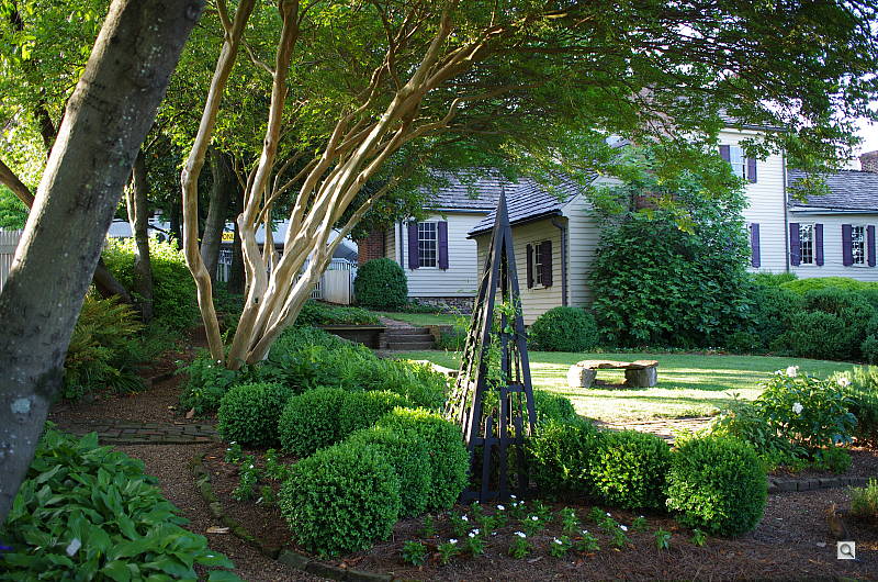 Click to see YIMGP0139.JPG