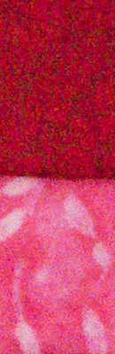 Samsung NX1 High ISO Noise Reduction image 57