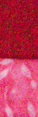 Samsung NX1 High ISO Noise Reduction image 66