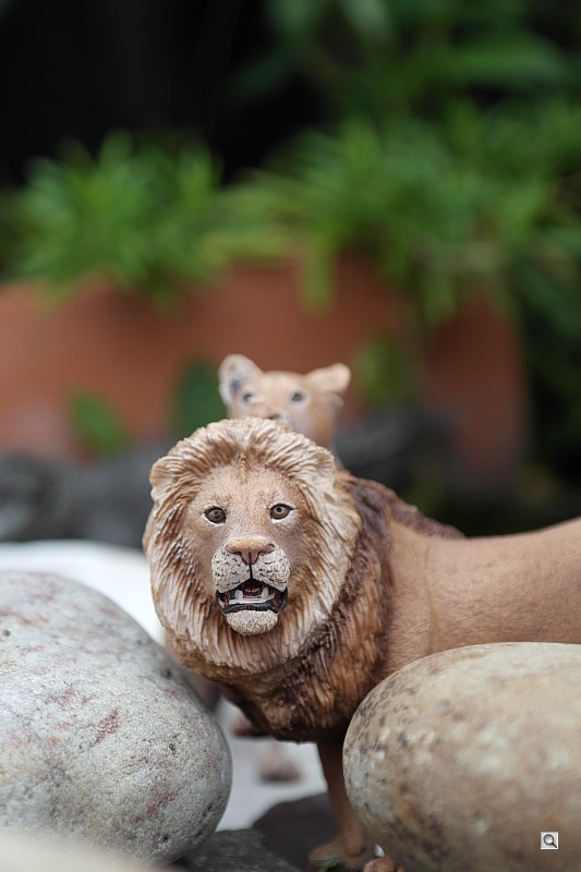 Capturing detail . The NX-20 shows nice detail with the toy lions I shot, and also