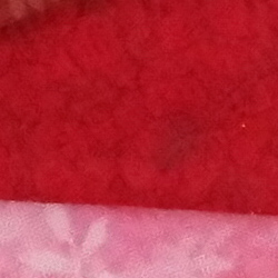 100% crop from Samsung NX500 test image taken at ISO 3200