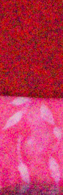A3000 High ISO Noise Reduction image 57